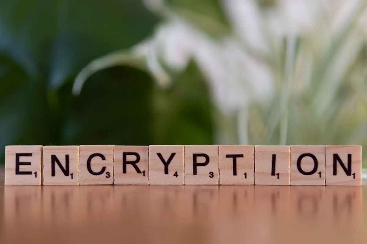 Digital Privacy: What Businesses Need to Know