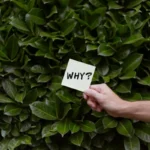 WYF Meaning in Text: What It Means and How to Reply