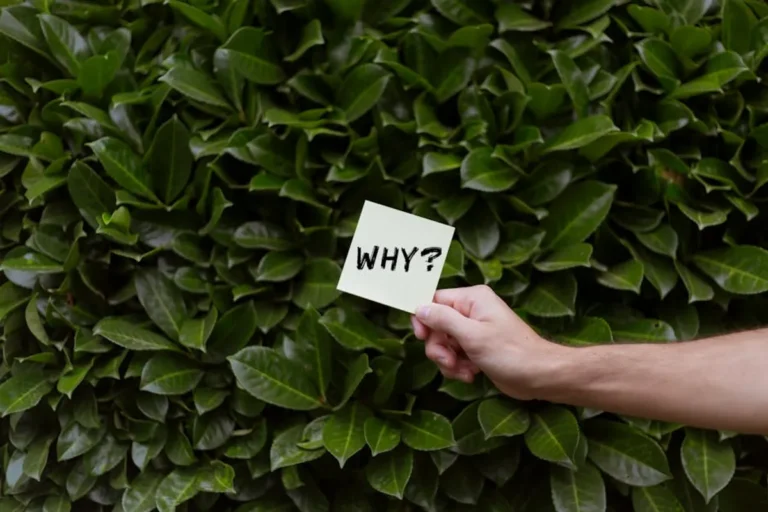 WYF Meaning in Text: What It Means and How to Reply